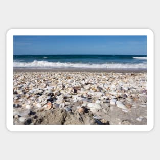 shells on the beach Sticker